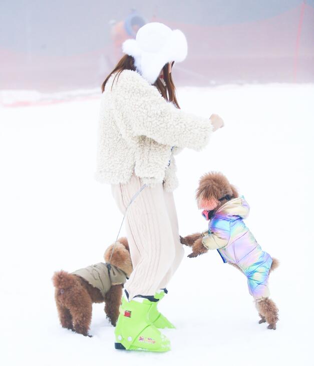 南京宠物旅游：趁时光正好，带着狗狗去旅行