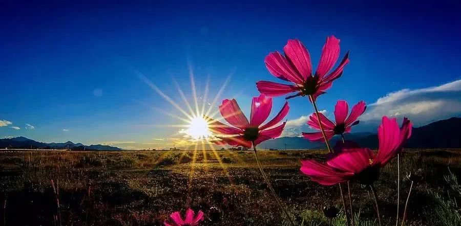 #十二星座#4月下旬起，前有靠山、后有贵人，4属相运势如日中天，事业前程似锦