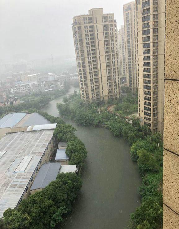 鲫鱼：暴雨过境，杭州河道现“巨虾”，钱塘江也曾有人钓获