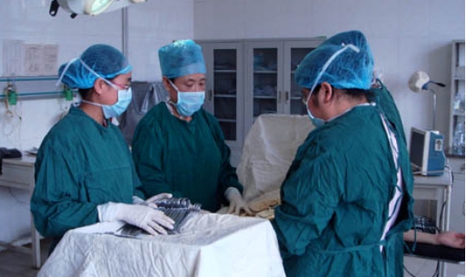 相机|为什么老人常说人死后,身体不要触碰?不是迷信而有科学依据