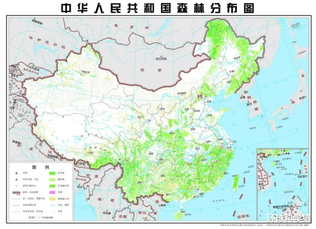 豹子|1年增长率达25%！华北豹数量明显上升，中国造林计划奏效了