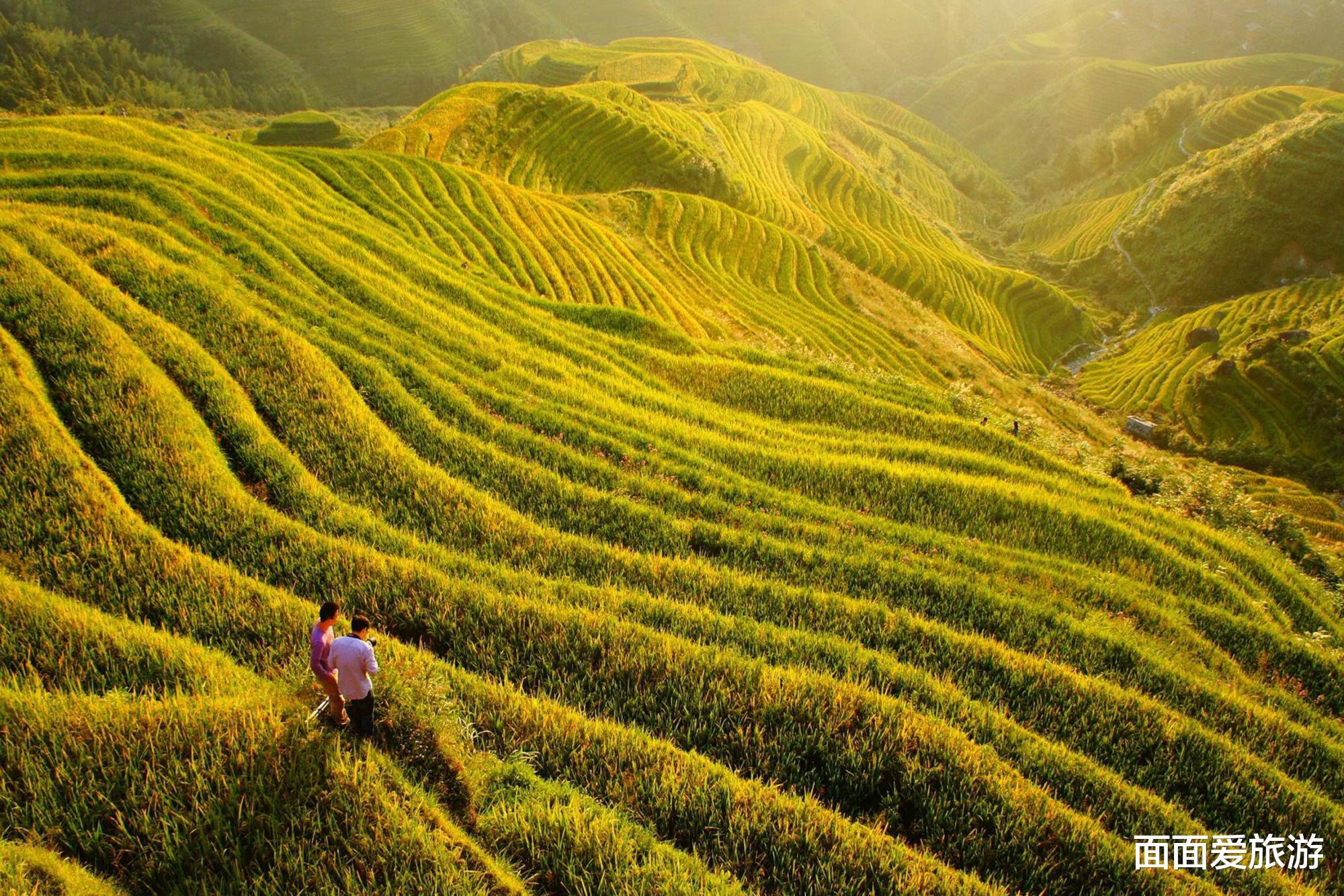 面面爱旅游 广西一商场面临倒闭，耗巨资坐落“黄金位置”，如今却被清空