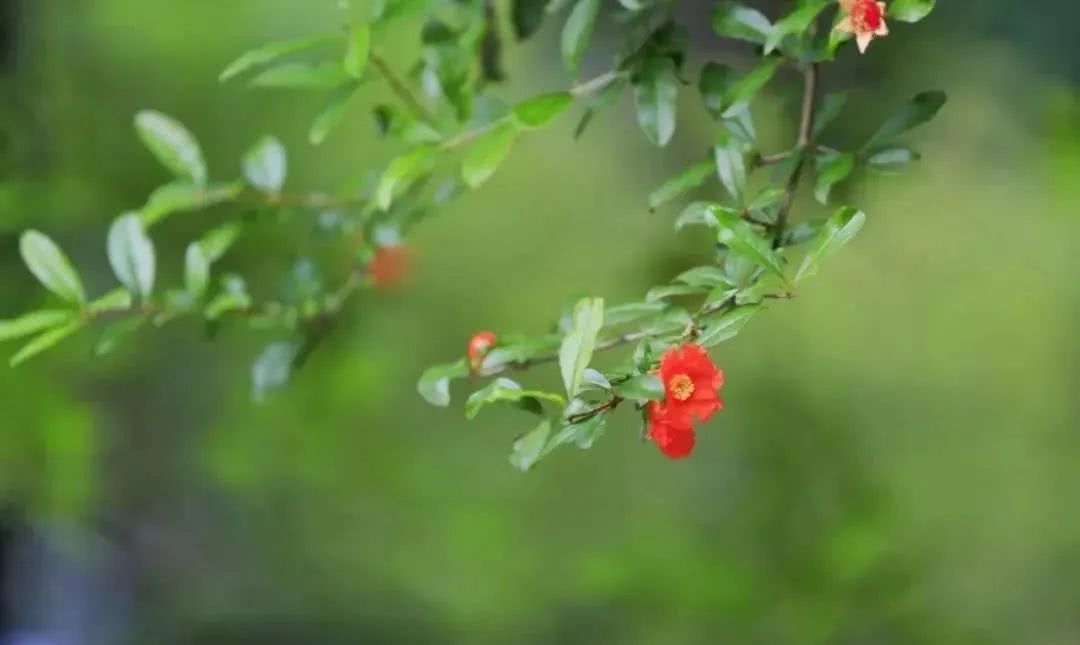 [十二星座]明天起，4生肖喜事成双、横财如雨，运势高涨，5月开口笑，6月喜成双