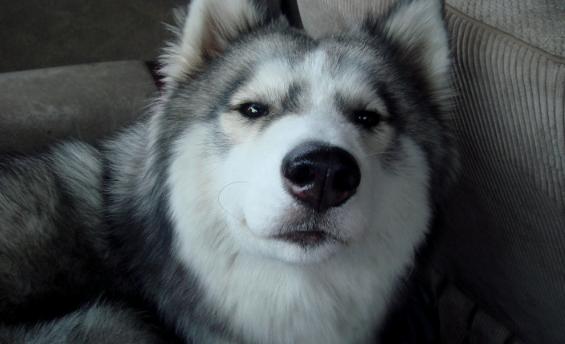 学霸|“学霸”高考当天险被同学“当街暴打”，网友：他活该