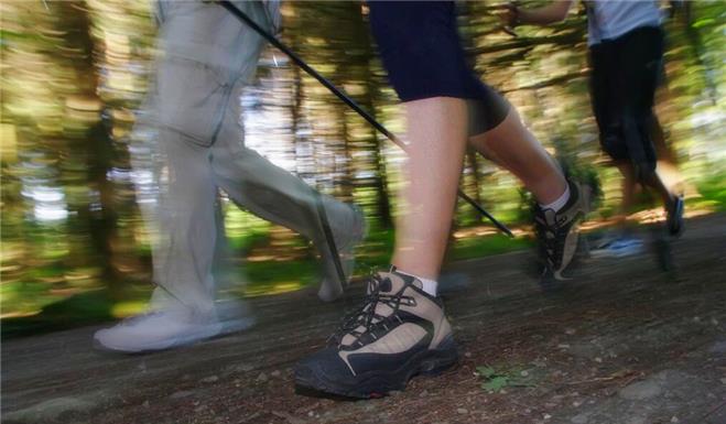 『有氧运动』每天慢跑5公里和健走5公里的区别是什么？你真知道？看专家的理解