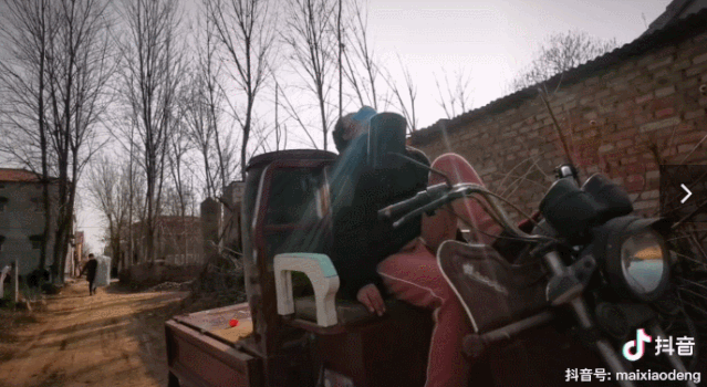 狐狸|河南李子柒火了？连央视都点赞！