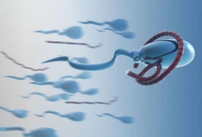 「」男生若不愿“绝精”太早，尽量远离这3事，或助肾脏“容光焕发”！