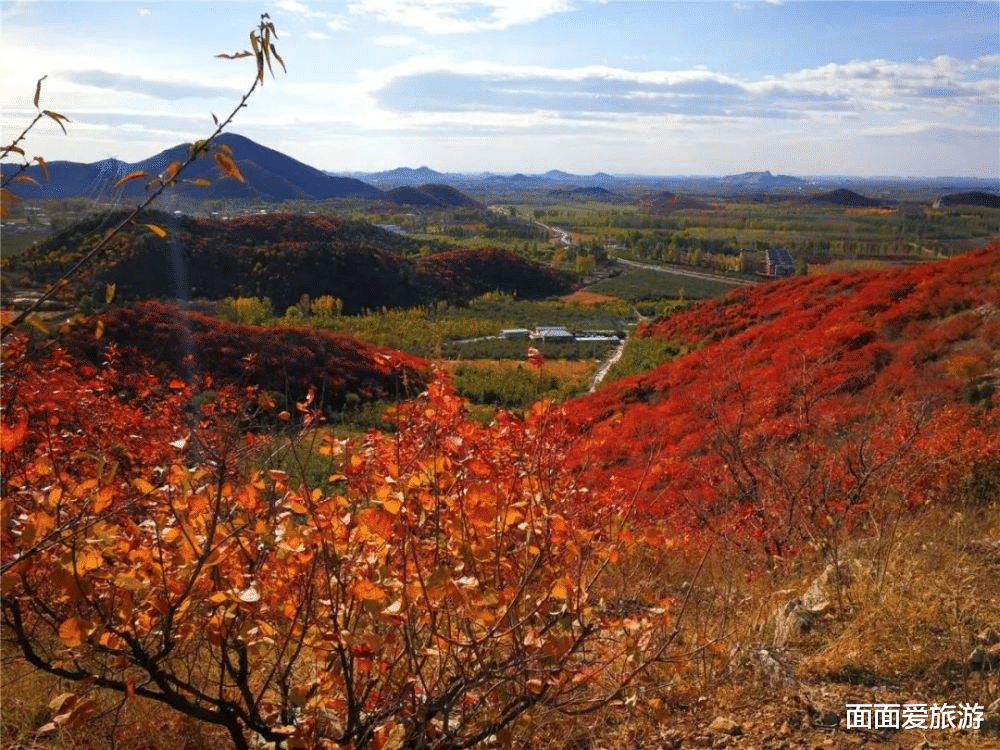 北京市|北京又发现一处“仙境”，秋季红叶不亚于香山，门票免费公交直达