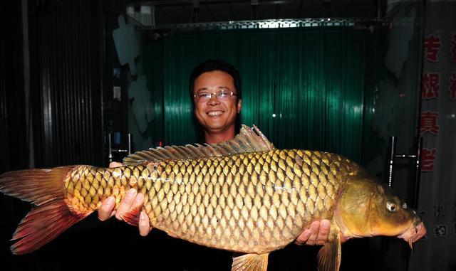 鲫鱼|台钓：到底用“软竿”还是“硬竿”？通过这3点选择鱼竿更合适