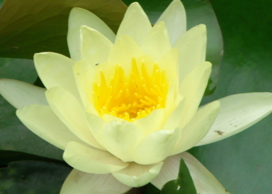 生肖|未来1年,运势转好,4属相生活更加甜蜜,事业风生水起,大吉大利