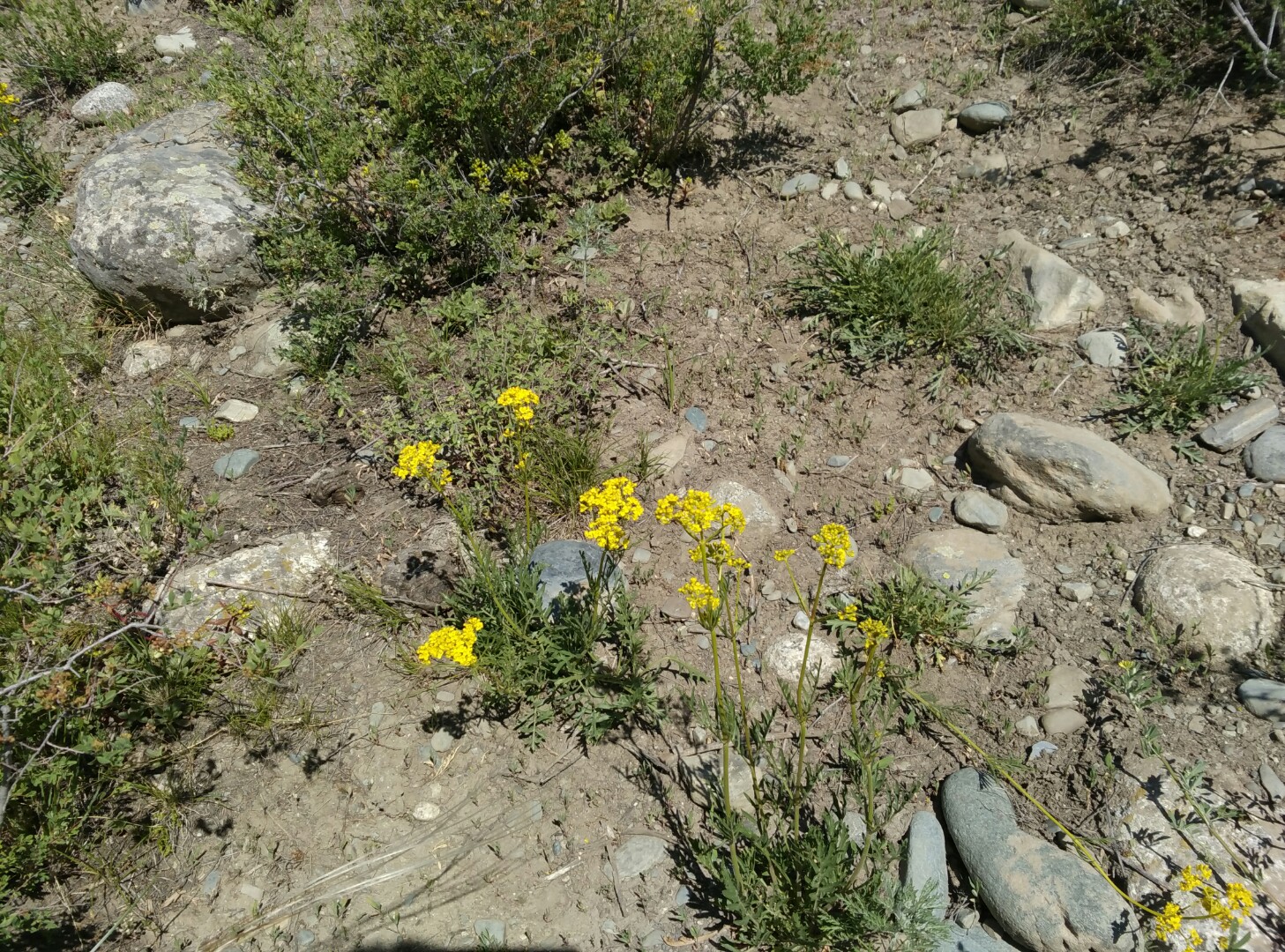 [端午节]端午节后继续上涨