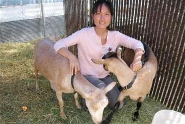 臆说古史|清华女博士隐居深山11年，靠种地年收入800万，亲生父母认不出来