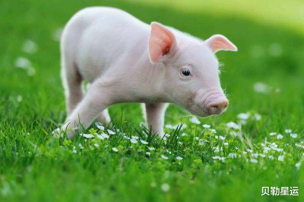 摩羯座|属猪人：10月16号不宜办事，你知道10月16号是什么日子吗？