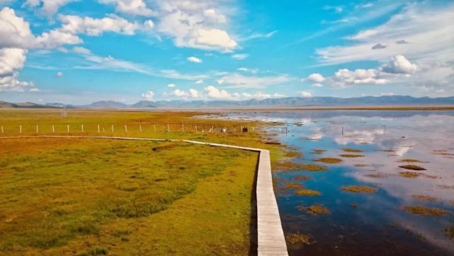 甘南|走过盛夏,甘南的秋天,又是另一个五彩斑斓的世界!