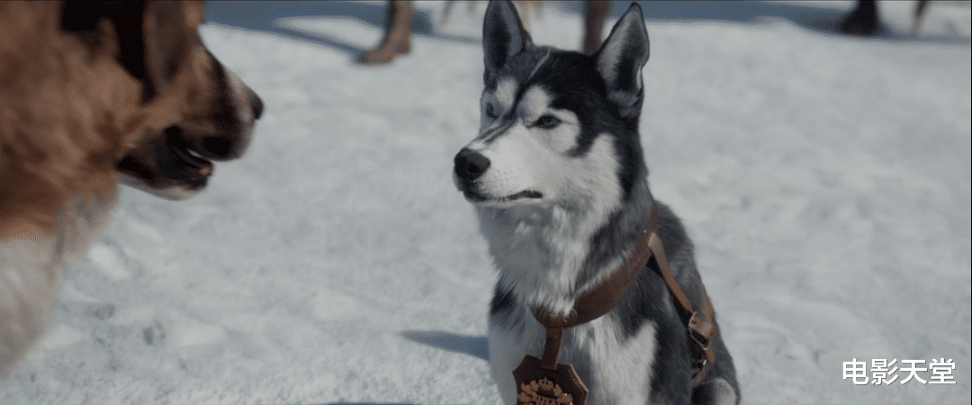 迪士尼▲迪士尼花了1亿,把经典改翻车了?