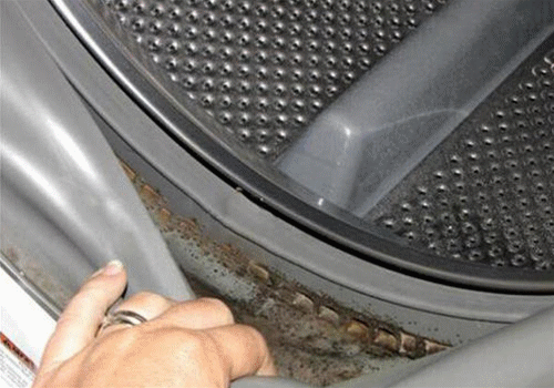 |等我有新房子，厨房绝不装橱柜！学学聪明人这么装，整洁不占地