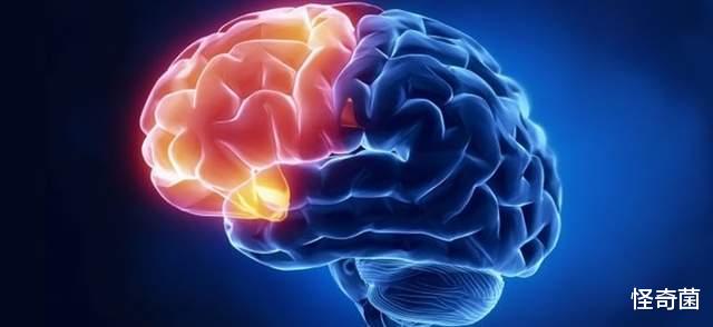 科学家|人类为什么会丢失婴儿时期记忆?看看科学家如何解释