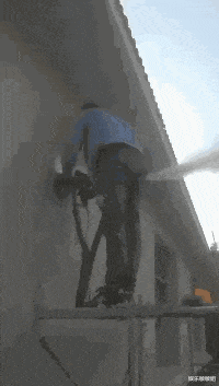 隔离|世界上如果没有生殖隔离，地球会变成什么样的情形？神评论真不敢想