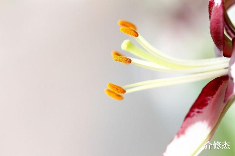 白羊座|九月上旬，缘分天定，真爱难求，旧爱回头，只为一生拥有的星座