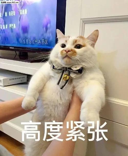 充电器|不同型号的手机充电器可以混用吗？会影响电池吗？