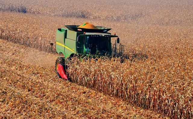 粮价|“好心”还是另藏猫腻？美国降低粮价，半年向中国出口4505万吨大豆