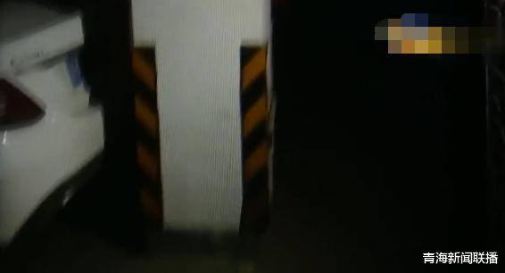 「」女子将“奔驰”租给朋友，一段时间后怀疑被抵押，如今悔不当初