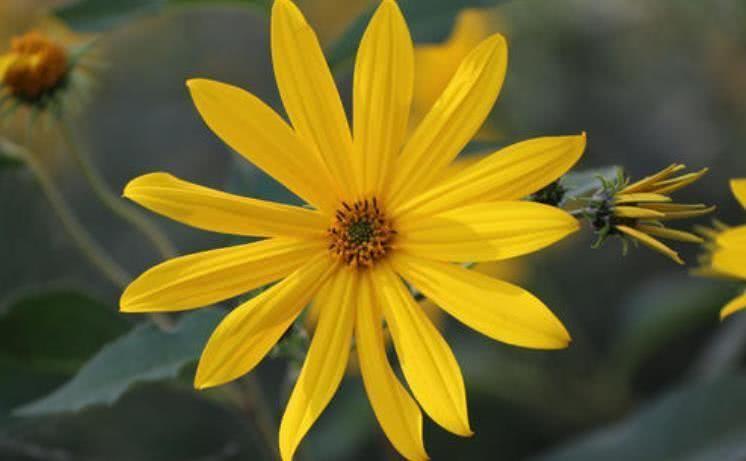 生肖|10月开始，好运相伴，贵人指点，日子越过越富裕的4大生肖