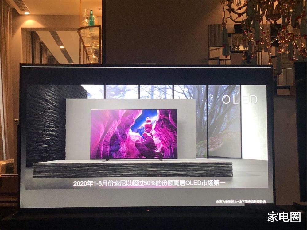 OLED|OLED电视中国市场彻底变天,索尼电视稳稳领衔,创维电视全线掉队