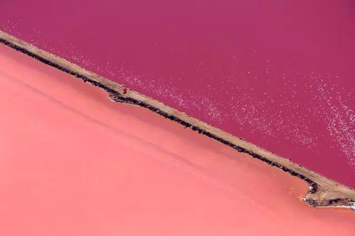 运势|猫巫占卜星座周运2020年8.3-8.9：怀揣着憧憬，踏实规划未来