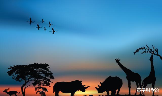 『基因』人类为什么没有「发情期」，而随时都可以？