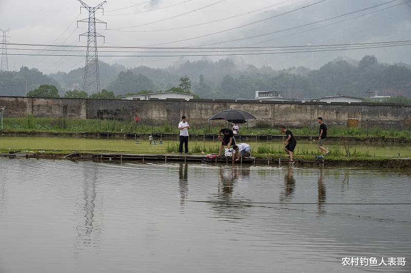 |秋季自然水域鱼情好，野钓为什么频频跑鱼呢？老钓友来告诉你原因