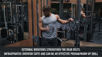 深蹲|该被拉黑名单的十大健身动作，练也白练！