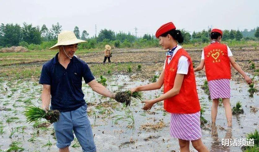 「海水稻」一排排空姐甩开雪白修长的美腿下田插秧，其实赞美比批评好