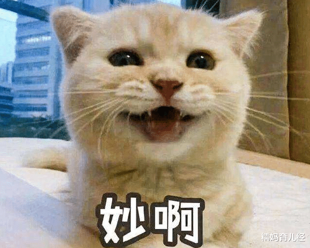 高校|小学生作文《爸爸的鼾声》火了！鼾声美妙又可爱，有网友：太赞了