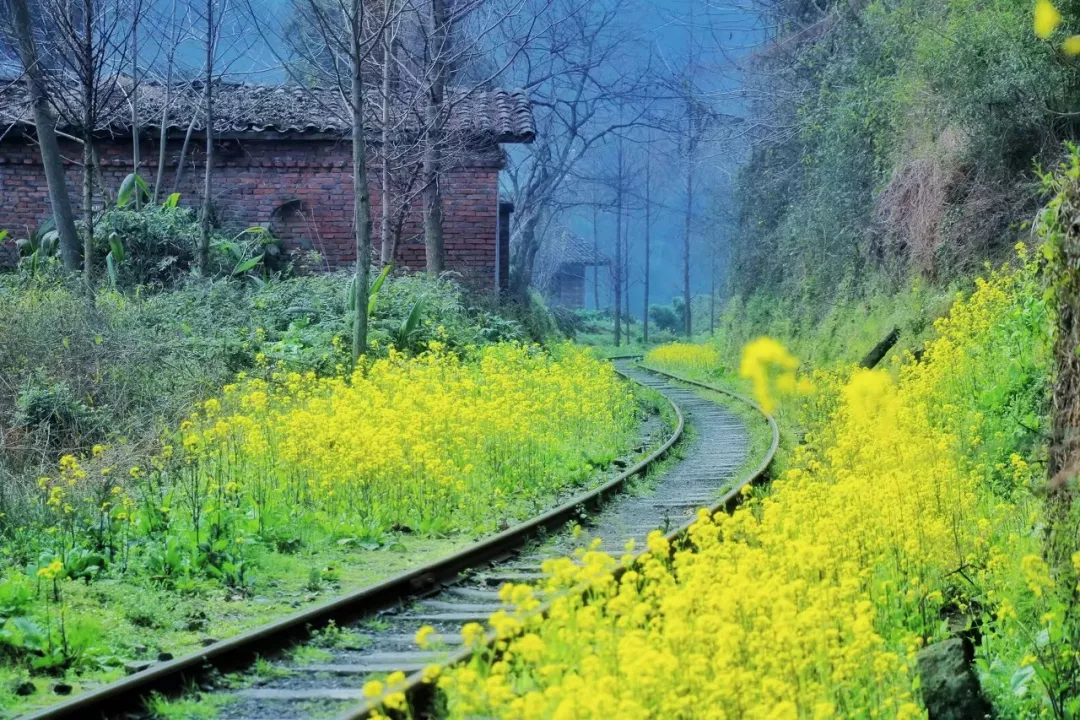 洛阳▲四月最佳旅行地|这9个地方玩转整个春天！