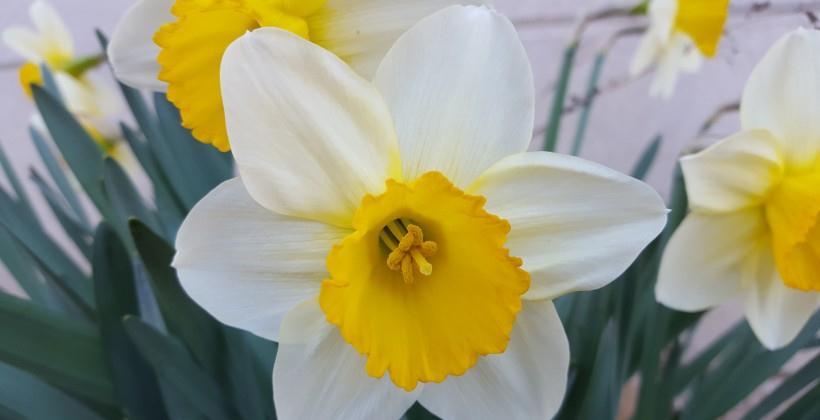 运势|10月中,月老独宠,桃花闪耀,路遇真爱,幸福到老的四大星座