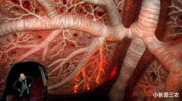 「心跳」世界最大人体博物馆 ，内部构造太真实，让很多女性脸红心跳！