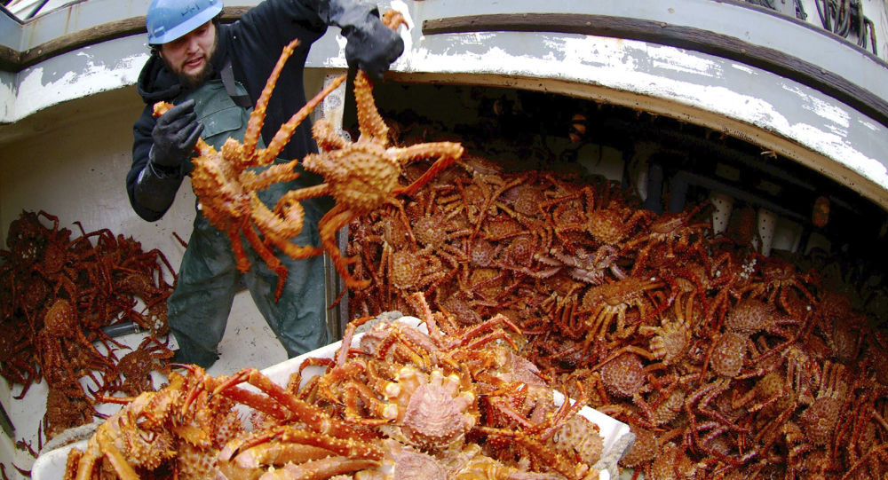 『乐视网』俄罗斯愿向中国提供168万公顷土地,向中国空运现钞后,事情有进展