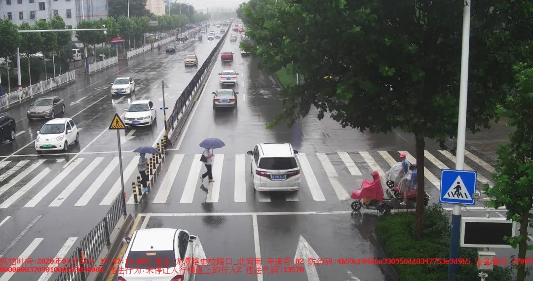 大众网泰安|鲁JUC**8、鲁JDM**0、鲁JA9**6……这20辆车被曝光！