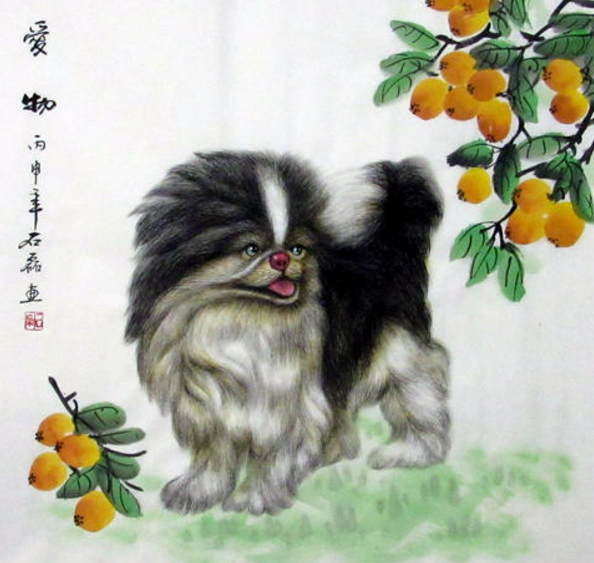 [属狗]属狗人，2020年有望得火土运势，好命！你家有后人吗？赶紧告诉他！