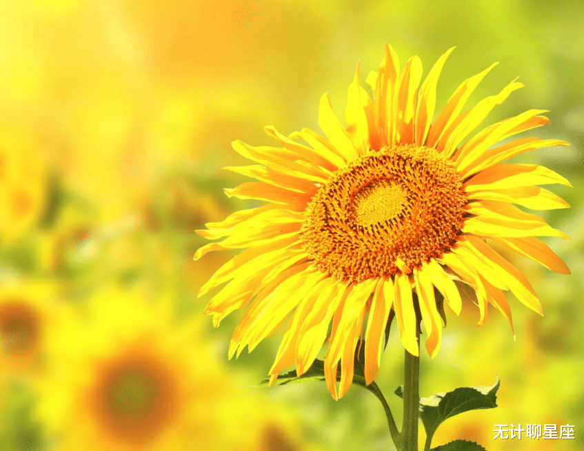 霉运|未来两个月，霉运逐渐消散的4个星座，好事连连，喜事不断