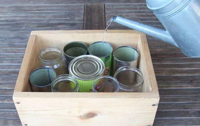 ▲10分钟教你DIY一个圣诞餐桌盆栽，变成喜庆迷人的植物装饰