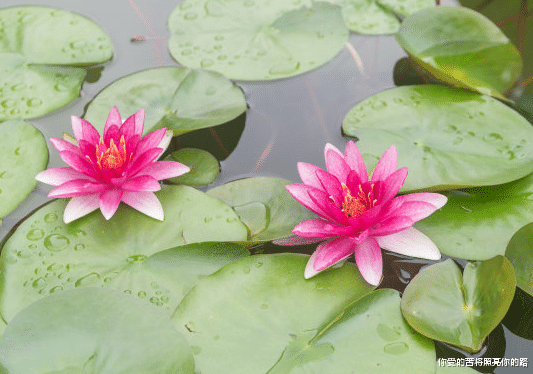 []6月19号开始，4属相事业越来越红火，喜事连连，日子更加幸福