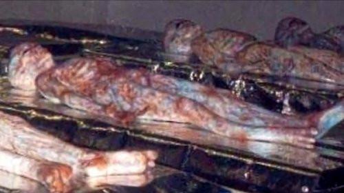 「外星人」证据实锤，外星人确实存在，且美国至少保存有30具外星人尸体