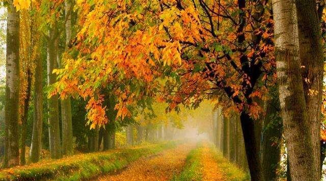 天赐良缘|十月起，天赐良缘，桃花怒放，真情涌动，甜蜜入心，执手余生