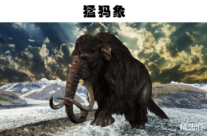 科学家|未来可能会重新出现在世界上的9个已经灭绝的生物