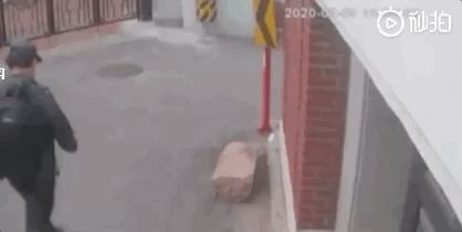 搏击|首尔市长生前最后监控曝光，搜救人员树林中发现其随身物品