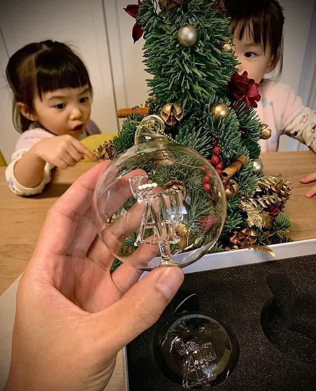 熊黛林老公曬雙胞胎女兒萌照，姐妹倆玩聖誕樹，身高差距再拉大-圖2