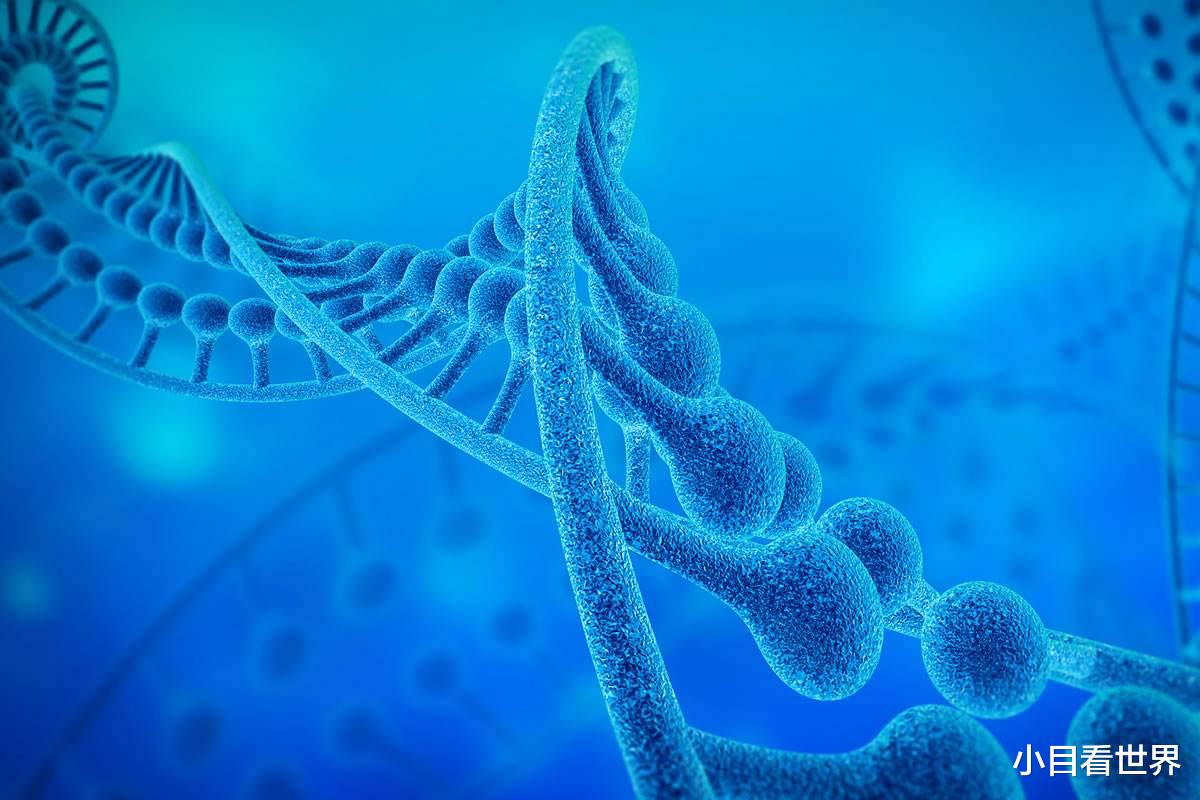 纲手|当一个人全身DNA断裂是什么纲手?一位日本人曾经历过,真的只能等死