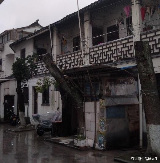 苏州▲苏州正在消逝的百年老街，没有商业一片原始，许多房屋已破旧不堪